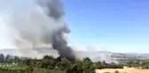 Son dakika... Tarsus'ta zeytinlik alanda yangın