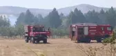 Son dakika... Ormanlık alanda çıkan yangın söndürüldü