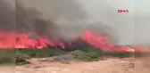 ADANA'DA 2 BÖLGE KONTROL ALTINA ALINDI