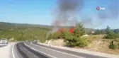 Bilecik'te ormanlık alanda yangın: 1 gözaltı