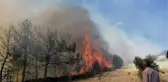 Son dakika... Kula'da zamanında müdahale, orman yangınının büyümesini önledi