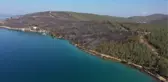 Son dakika haberleri | Milas'taki yangında zarar gören 80 hektarlık ormanlık alan havadan görüntülendi