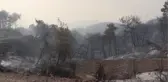 Son dakika haberi: Osmaniye'deki orman yangınına müdahale ediliyor