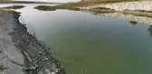 Sazlıdere Barajı'nın yüzeyi yeşile büründü