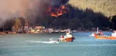 Yangında 80 hektar orman kül oldu