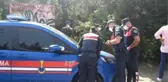 Mesire alanları ve tabiat parklarında piknik ve spor yapılabilecek