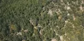 KAHRAMANMARAŞ - Ormanlık alanda kaybolan öğretmeni arama çalışmaları devam ediyor