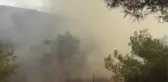 Köyceğiz'deki orman yangınını söndürme çalışmaları devam ediyor