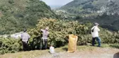 ORDU'DA FINDIK ÜRETİCİLERİ BAHÇEYE ERKEN GİRDİ