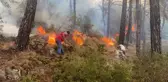 Son dakika haber... Seydikemer'de orman yangını