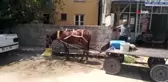 Aşırı sıcaktan bunalanlar derelerde ve akarsulara akın etti, sokaklar boş kaldı