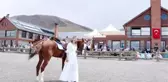 KADIN DOKTORUN AT SEVGİSİ