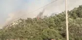Marmaris'teki orman yangınında mahalle sakinleri denizden botlarla tahliye edildi