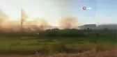 Nallıhan Kuş Cenneti'nde Ormanlık alanda yangın