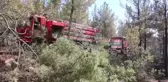 Son Dakika | Ormanlık alanda çıkan yangın kontrol altına alındı