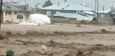 Sel nedeniyle evleri su bastı, küçükbaş hayvanlar telef oldu
