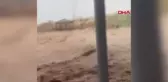VAN'DA SEL; HAKKARİ YOLU ULAŞIMA KAPANDI