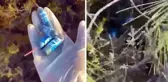 Datça'da yangın çıkan ormanlık alandaki torpiller çocuklarınmış