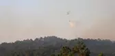 Tavas'ta orman yangını