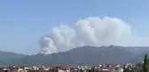Son dakika haberleri | Tavas'da orman yangını