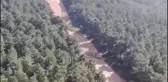 Son dakika... Ormanlık alanlarda polis denetimleri sürüyor