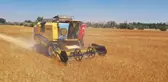 Zeron buğdayı hasadı yapıldı