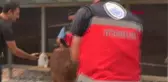 VETERİNER HEKİMLER YARALARI SARIYOR