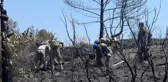 Hatay'da komandolar yangın söndürüyor