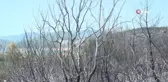 Son dakika haberi... Isparta Sütçüler'deki yangını söndürme çalışmaları 4'üncü günde devam ediyor