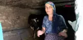 Son dakika haberleri | MANAVGAT YANGINI 9'UNCU GÜNÜNDE; HAYVANLARINI KURTARMAK İÇİN MÜCADELE ETTİ