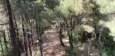 Polis, orman yangınlarına karşı helikopter destekli denetim yaptı