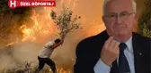 Yanan ormanlar nasıl yeşerecek? Uzman isim, dünyadan örnek vererek anlattı