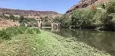 Son Dakika | Korkulan oldu... Kars Çayı'nda toplu balık ölümü