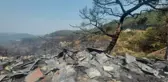 Son dakika! Marmaris'teki yangında 9'uncu günde; alevlere bir noktada müdahale sürüyor