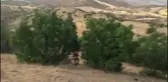 Ormanlık alanlarda mola vermek ve piknik yapmak yasaklandı (2)