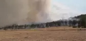 Son dakika haberi... Tefenni'de çıkan orman yangını kontrol altına alındı