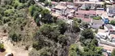 Çatalca'da yerleşim alanına yakın ağaçlık alanda korkutan yangın