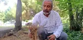 Yangın Ekolojisi Uzmanı açıkladı: 