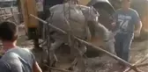 Son dakika haberi! Bingöl'de kuyuya düşen eşek itfaiye ekiplerince kurtarıldı