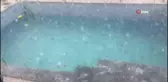 Erzincan'da dolu yağışı sebze ve meyveyi vurdu