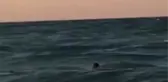 KARABURUN'DA DENİZE GİREN ADAM BOĞULDU