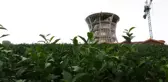 Çay Çarşısı'nda sadece göze değil buruna da hitap edilecek