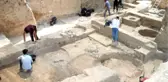 ZEYTİNİN BİNLERCE YILLIK YOLCULUĞU GÜN YÜZÜNE ÇIKIYOR