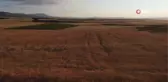 Evinde ürettiği bakteri ile tarımsal üretimini ikiye katladı