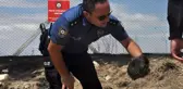 Atış poligonunda çıkan yangında kaplumbağayı yanmaktan polisler kurtardı