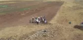 Son dakika haberleri! Malazgirt Savaşı alanının tespiti çalışmalarında ok ve mızrak uçları ile savaş aletleri bulundu