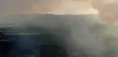 Yanan alanların ağaçlandırılması için proje hazırlanıyor