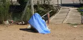 Son dakika... Adana'da esrarengiz ölüm