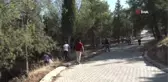 Büyükşehirden Bekilli'ye 46 bin 600 metrekarelik mesirelik alan