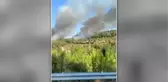 Muğla'da çıkan orman yangını havadan ve karadan müdahaleyle kontrol altına alındı